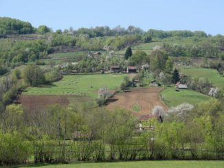 Prebili starca u Banjaluci, uhapšeni u Foči